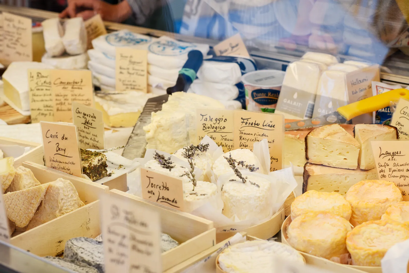 galerie markt weichkaese assortiert tritt kaese